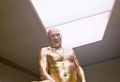 Andrew Howard frontal nude and sex scenes