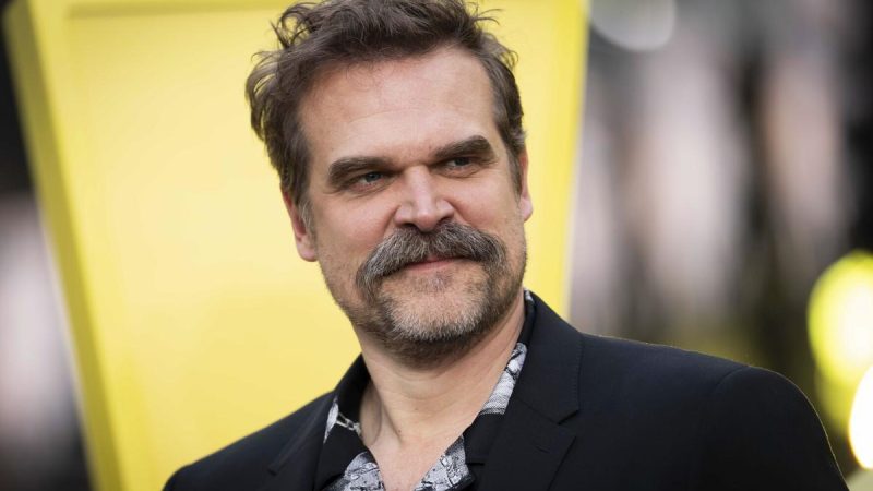 David Harbour Nude Scenes And Penis Bulge Pics Collection